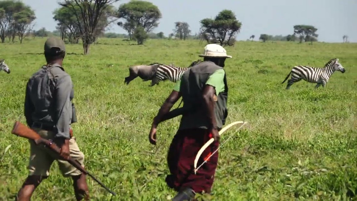 Thumbnail: Dorobo Safari's Taster film